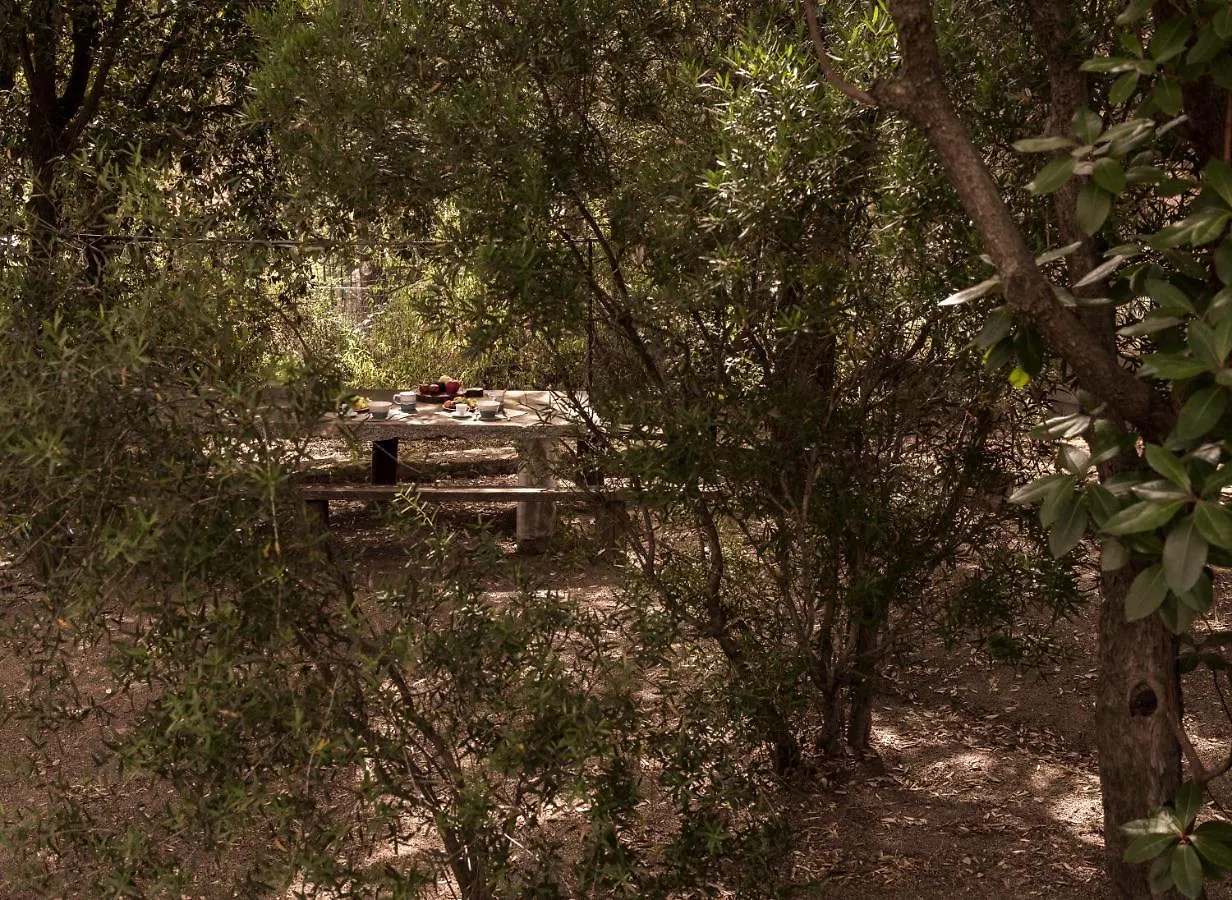 Nel Giardino Dei Pesci Volanti Villa San Pantaleo