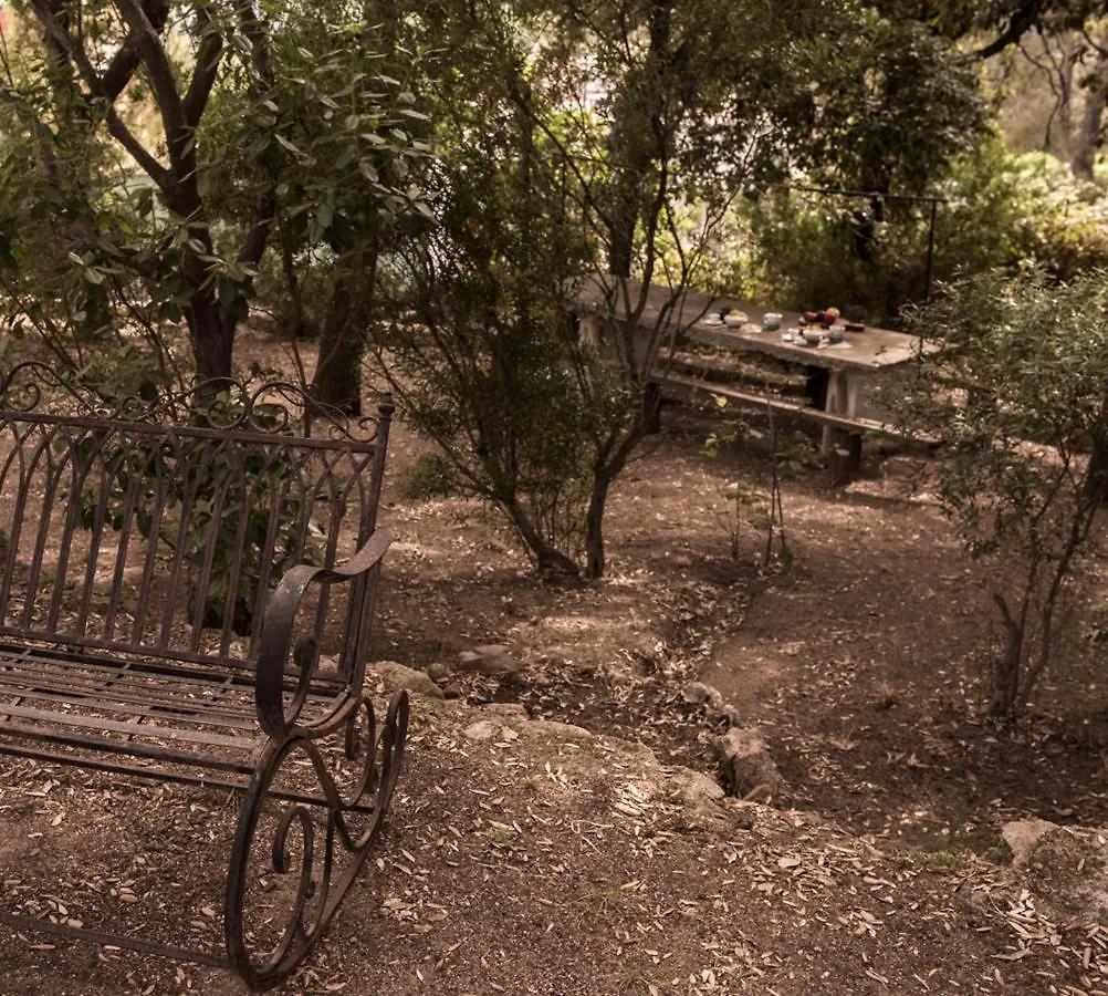 Nel Giardino Dei Pesci Volanti Villa San Pantaleo 0*,  Italy